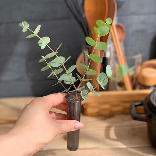 日本 八幡化成 鄉村澆水壺紙巾架 (泥灰、長 20.8 公分)