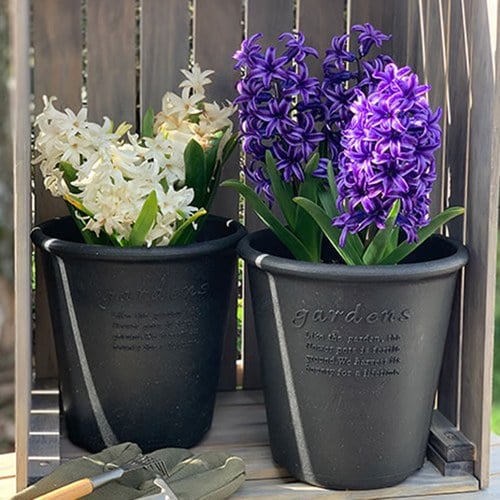 日本 八幡化成 城市農夫圓盆(S號、直徑12公分)