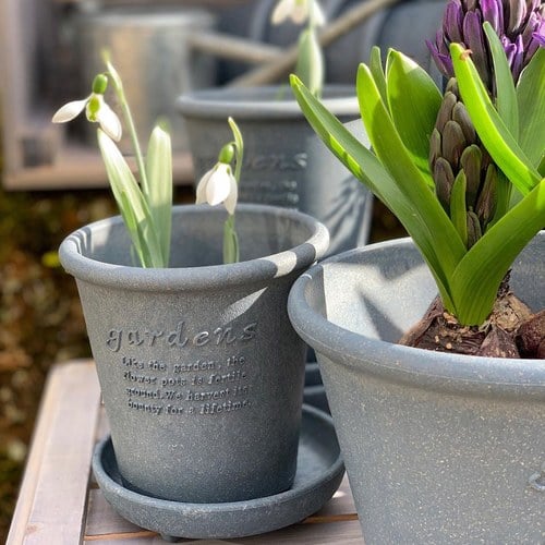 日本 八幡化成 城市農夫圓盆(S號、直徑12公分)