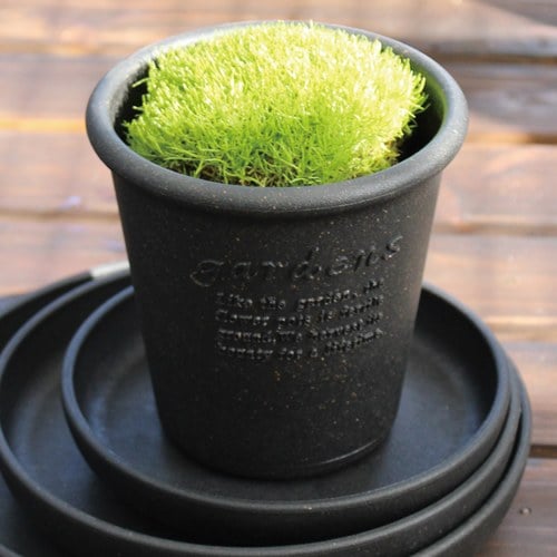 日本 八幡化成 城市農夫圓盆(M號、直徑15公分)