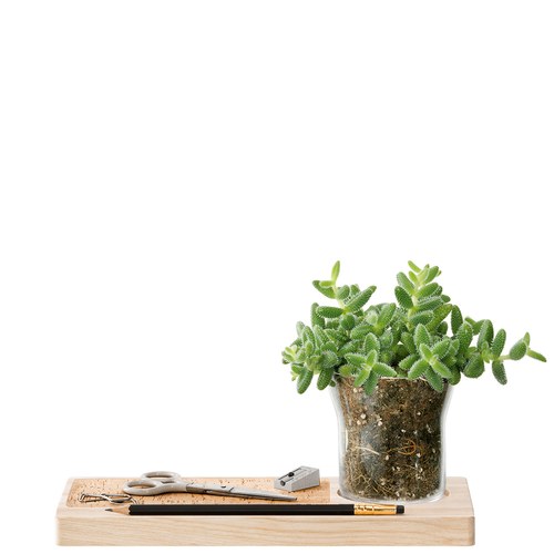 英國LSA 城市綠洲 桌上型收納花盆