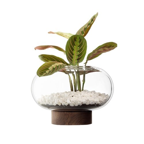 英國LSA 歐式禪風花器 (透明、高19.5公分)