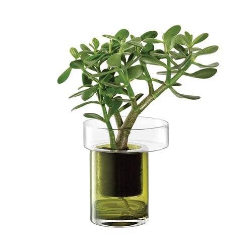 英國LSA 陽臺自動澆水花槽 (橄欖綠、高19公分)-BD01