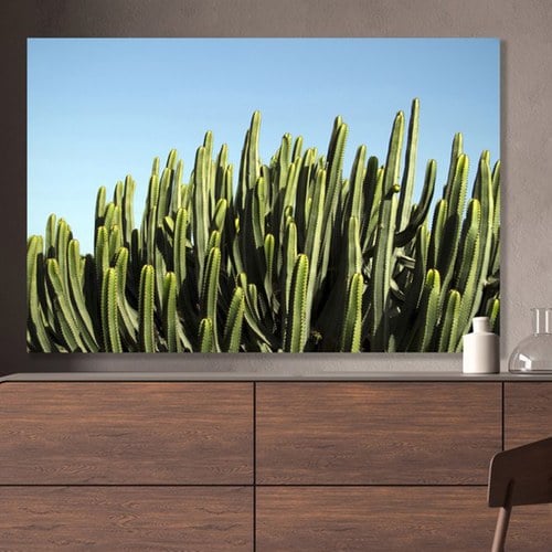 美國TwoPalms 青空仙人掌掛畫 (114公分)