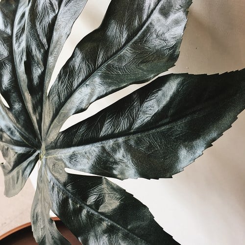 荷蘭Emerald人造植物 八角金盤