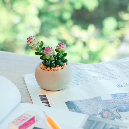 荷蘭Emerald人造植栽 薄雪萬年草多肉植物