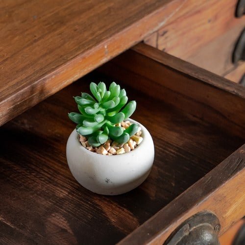 荷蘭Emerald人造植栽 乙女心多肉植物