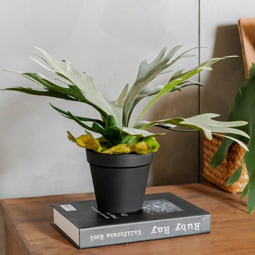 荷蘭Emerald人造植栽 鹿角蕨 (黑盆)