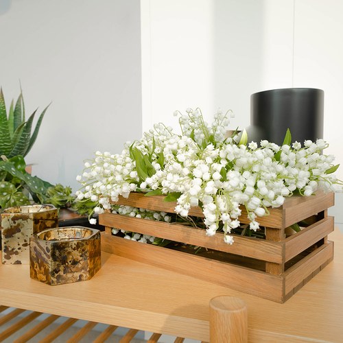 荷蘭Emerald人造植物 白色風鈴草