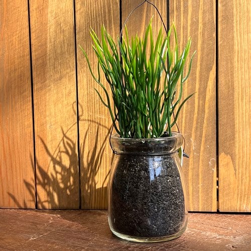 荷蘭 Emerald人造植栽 水芹