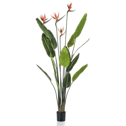 荷蘭 Emerald 人造植栽 天堂鳥綠葉叢 (150cm)