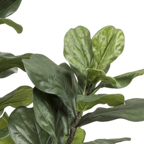 荷蘭Emerald人造植栽 琴葉榕(180公分)