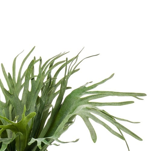 荷蘭Emerald人造植栽 鹿角蕨(膠盆、65公分)