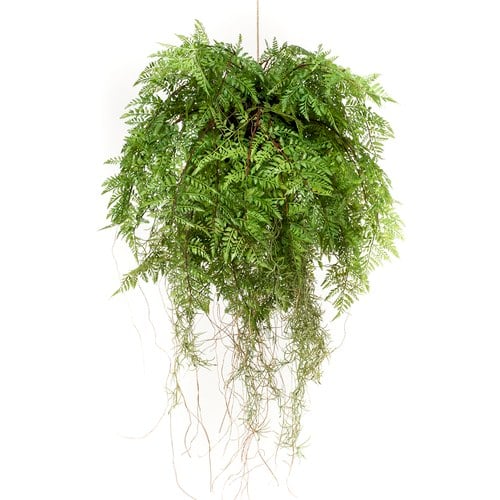 荷蘭Emerald人造植栽 垂墜羊齒蕨 (吊掛、55公分)