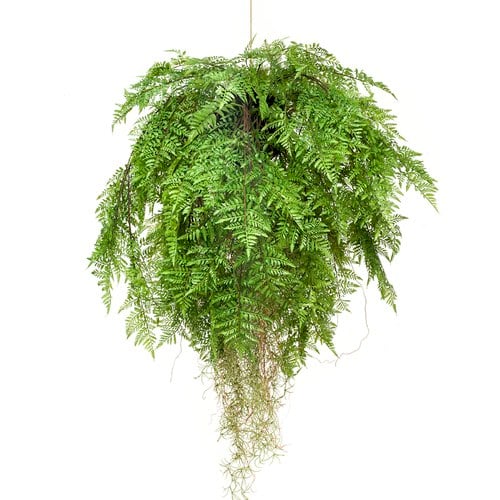 荷蘭Emerald人造植栽 垂墜羊齒蕨 (吊掛、80公分)