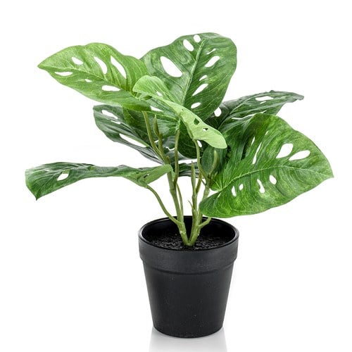 荷蘭Emerald人造植栽 龜背芋土盆 (黑盆、30公分)