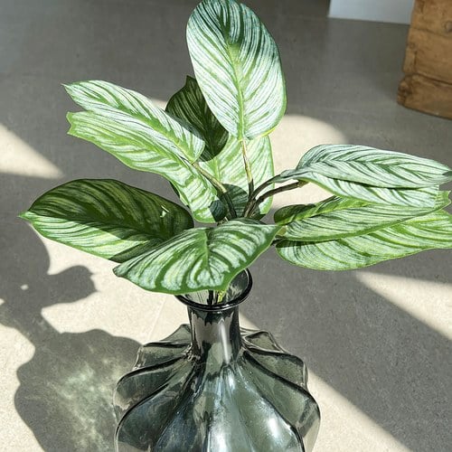 荷蘭Emerald人造植栽 蘋果竹芋葉片 (五株、74公分)