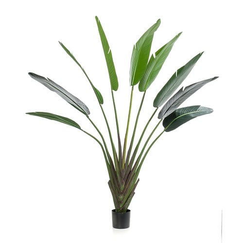 荷蘭Emerald人造植栽 芭蕉葉土盆 (180公分)