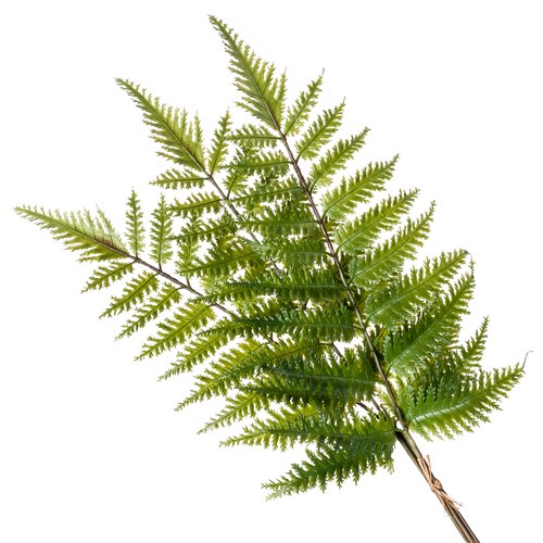 荷蘭Emerald人造植栽 樹蕨 (三株、長58公分)