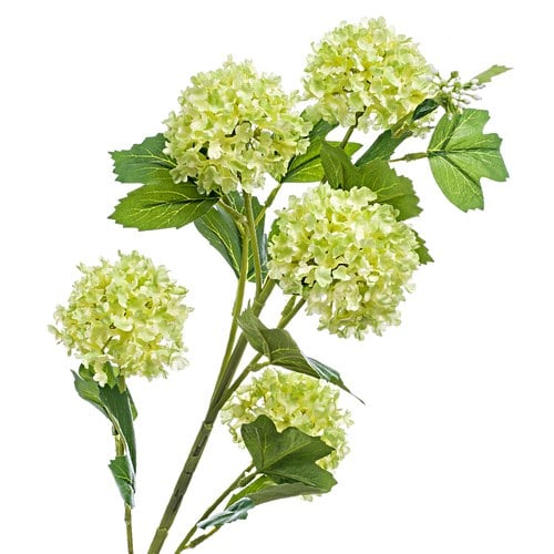 荷蘭Emerald人造花藝 莢迷花 (綠、五株、75公分)