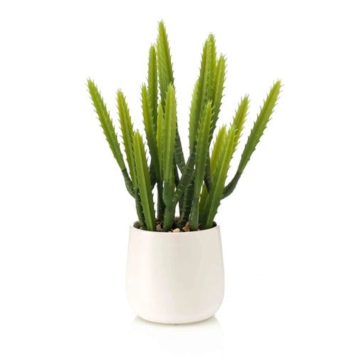 荷蘭Emerald人造植栽龍骨仙人掌 (28公分)