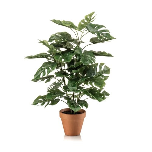 荷蘭Emerald人造植栽龜背芋 (高度65公分)