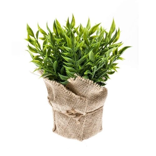 荷蘭Emerald人造植栽金絲草 (高度20公分)