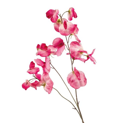 荷蘭Emerald人造花藝 香豌豆花-粉色 (75cm)