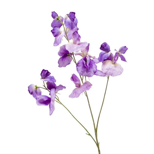 荷蘭Emerald人造花藝 香豌豆花-紫色 (75cm)