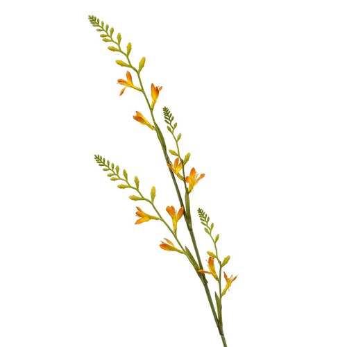 荷蘭Emerald人造花藝 香雪蘭-黃色 (93cm)