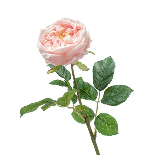荷蘭Emerald人造花藝 珍妮玫瑰-桃粉色 (60cm)