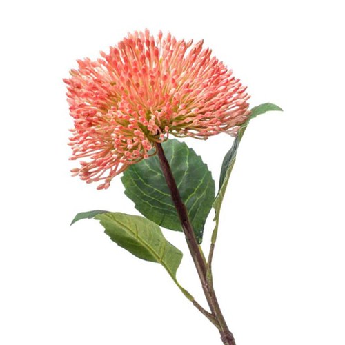 荷蘭Emerald人造花藝 景天花-桃粉色 (43cm)
