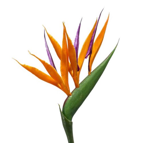 荷蘭Emerald人造花藝 天堂鳥花-橘色 (65cm)