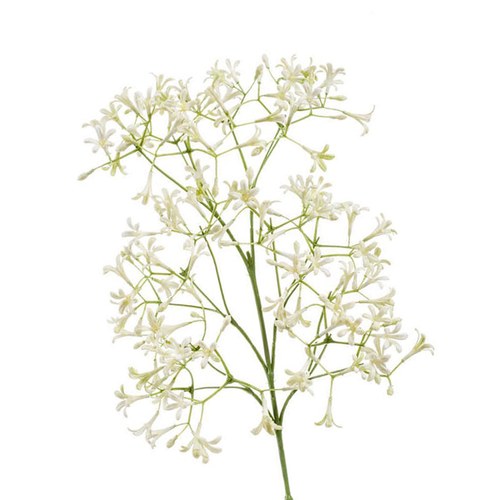 荷蘭Emerald人造花藝 虎耳草花-奶油色 (63cm)