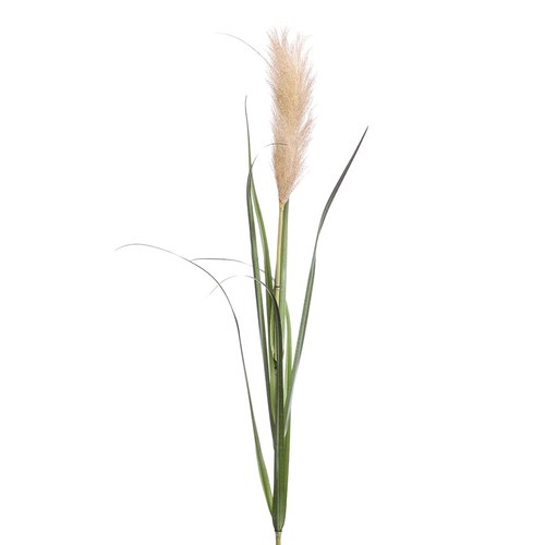 荷蘭Emerald人造植物 潘帕斯草-淺棕色 (120cm)
