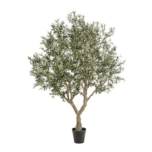 荷蘭Emerald人造植物 橄欖樹盆栽 (250cm)