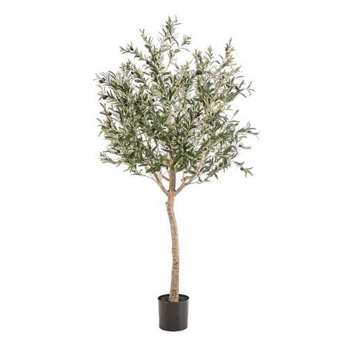 荷蘭Emerald人造植物 橄欖樹盆 (180cm)