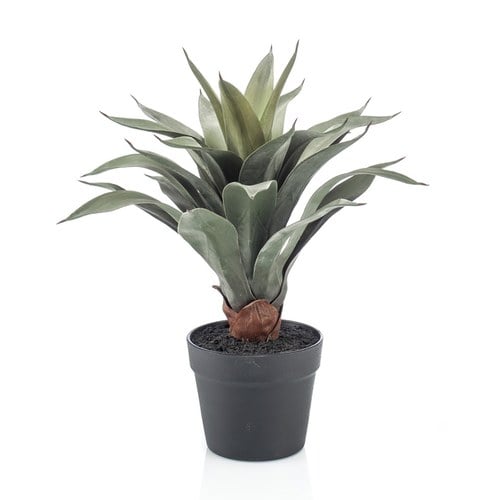 荷蘭Emerald人造植物 龍舌蘭盆栽 (45cm)