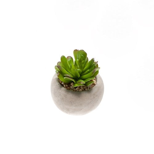 荷蘭Emerald人造植栽 阿吉塔玫瑰多肉植物