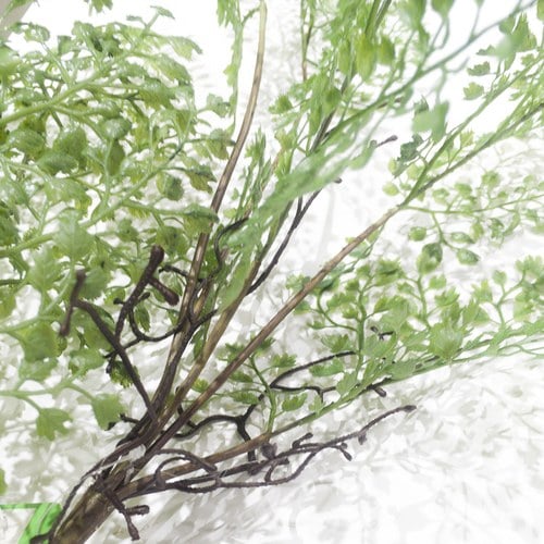 荷蘭Emerald人造植物 鐵線蕨 (長55公分)