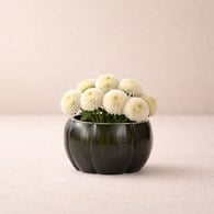 德國Guaxs玻璃燭台 LALIBELA系列 (黑鐵灰、高7公分)