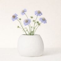 德國Guaxs玻璃花器CLEMENTE系列(蛋白石、高20公分)