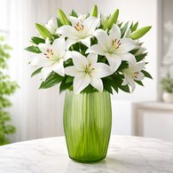 德國Guaxs玻璃花器MALIBU系列(綠、高28公分)