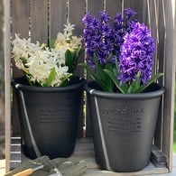 日本 八幡化成 城市農夫圓盆(S號、直徑12公分)