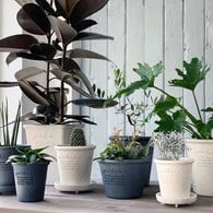 日本 八幡化成 城市農夫淺圓盆 (L號、直徑 21 公分)