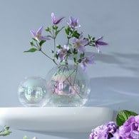 英國LSA 貝殼絢彩球形花瓶 (高16公分)