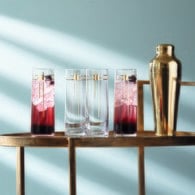 英國LSA 金樽系列高水杯4入組(420毫升)-CT11