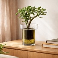 英國LSA 陽臺自動澆水花槽 (橄欖綠、高19公分)-BD01