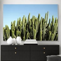 美國TwoPalms 青空仙人掌掛畫 (114公分)