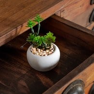 荷蘭Emerald人造植栽 日本小松多肉植物